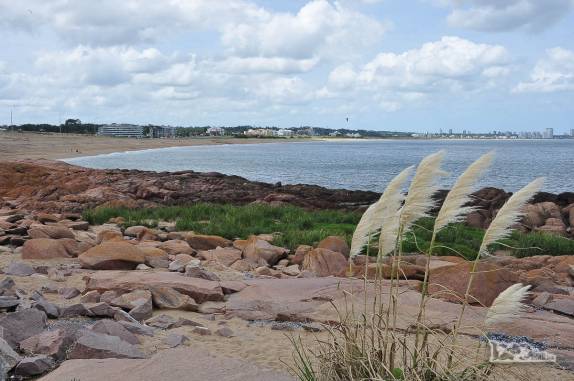Praia tranquila nas cercanias de Punta del Este, no litoral do Uruguai